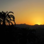 sunset and palm tree in Alcudia, Mallorca, Spain