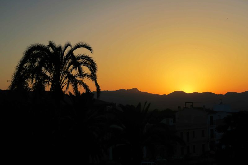 sunset and palm tree in Alcudia, Mallorca, Spain
