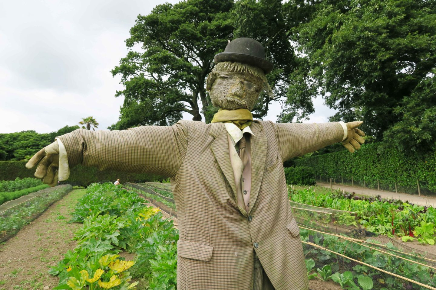 scarecrow in front of vegetable patch at the lost gardens of heligan in cornwall
