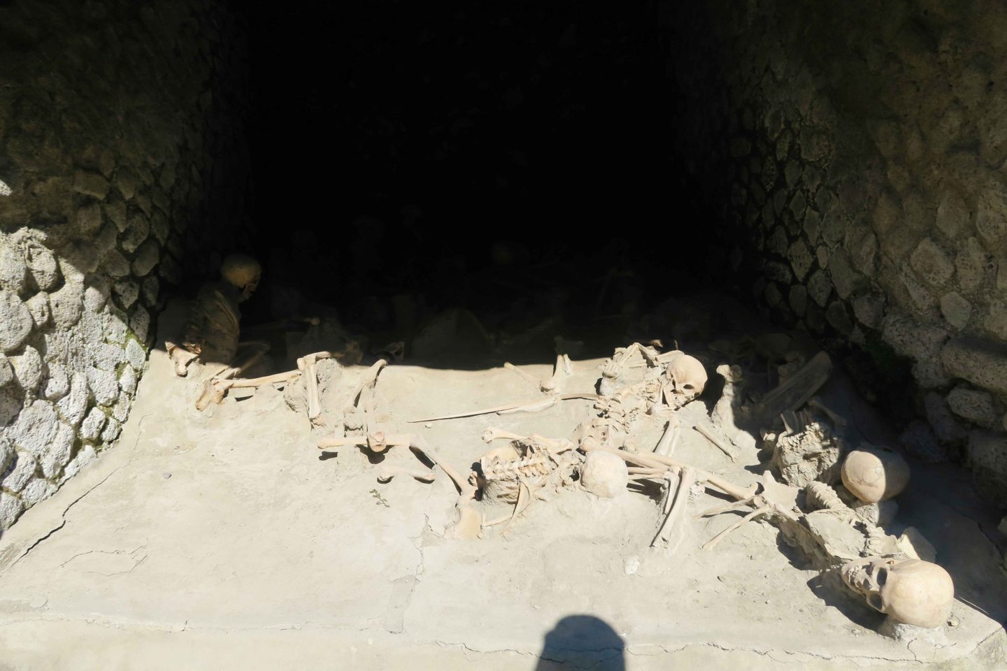 skeletons found at the archeological site of herculaneum in italy