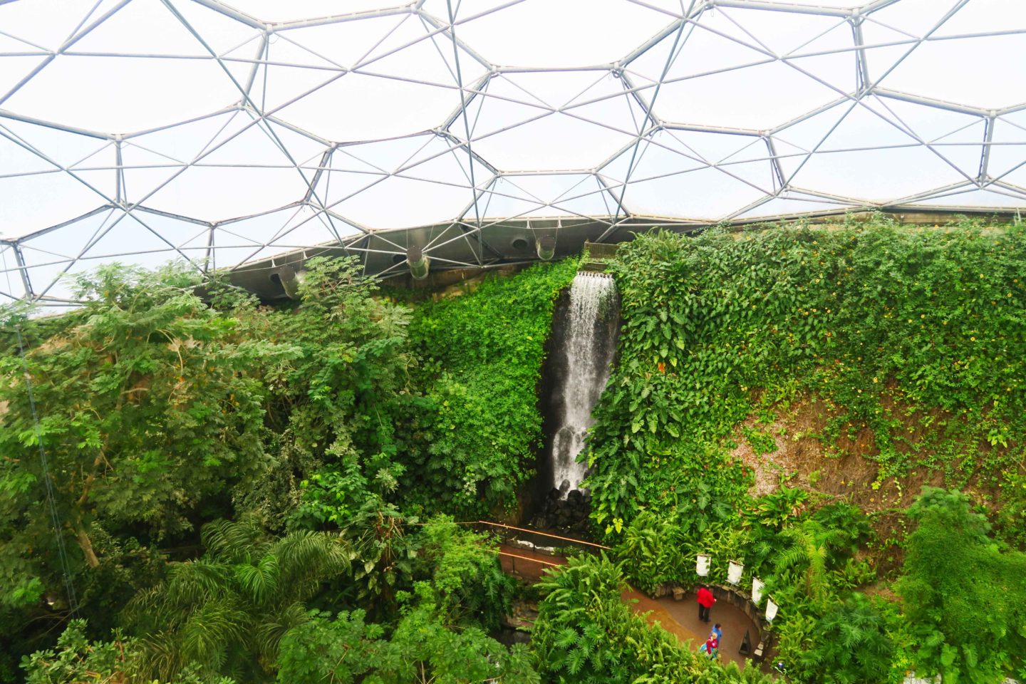 eden project rainforest waterfall