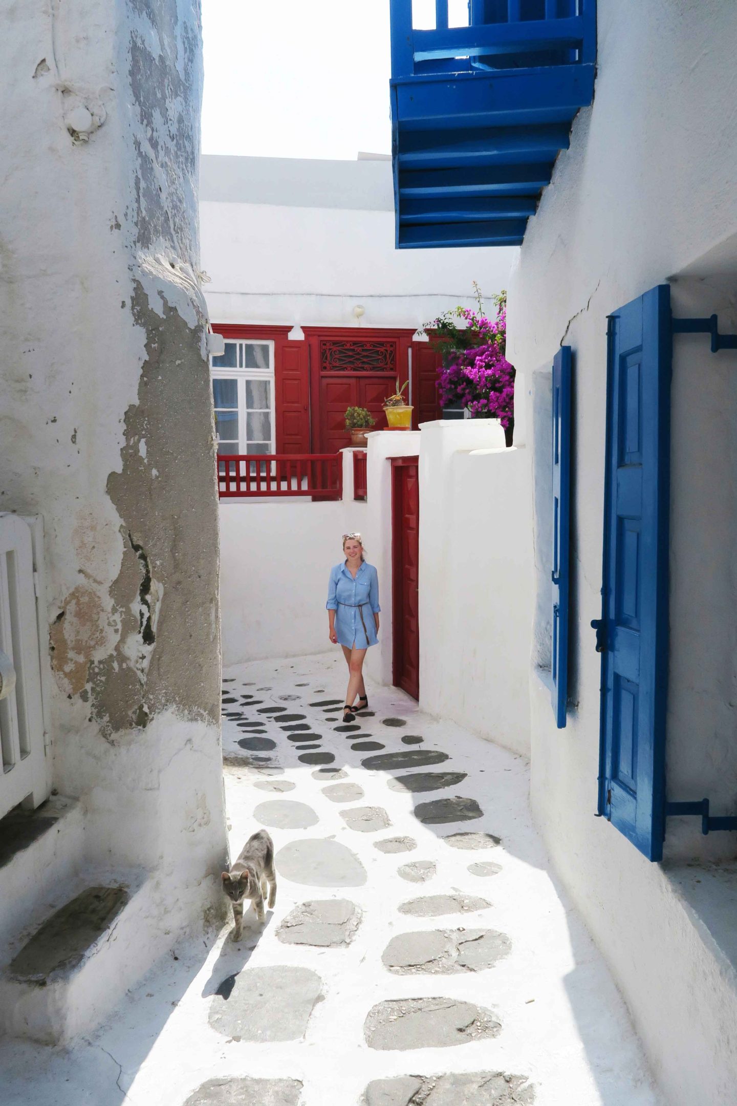 melissa carne walking on the white streets of mykonos town next to grey greek cat