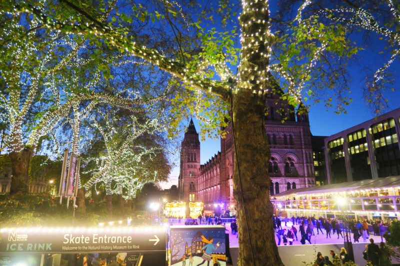 natural history museum in london at christmas lights