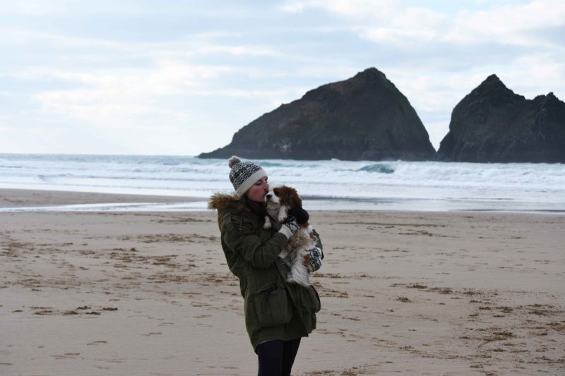 holywell bay cavalier king charles spaniel and owner
