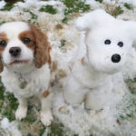 snow dog and real dog