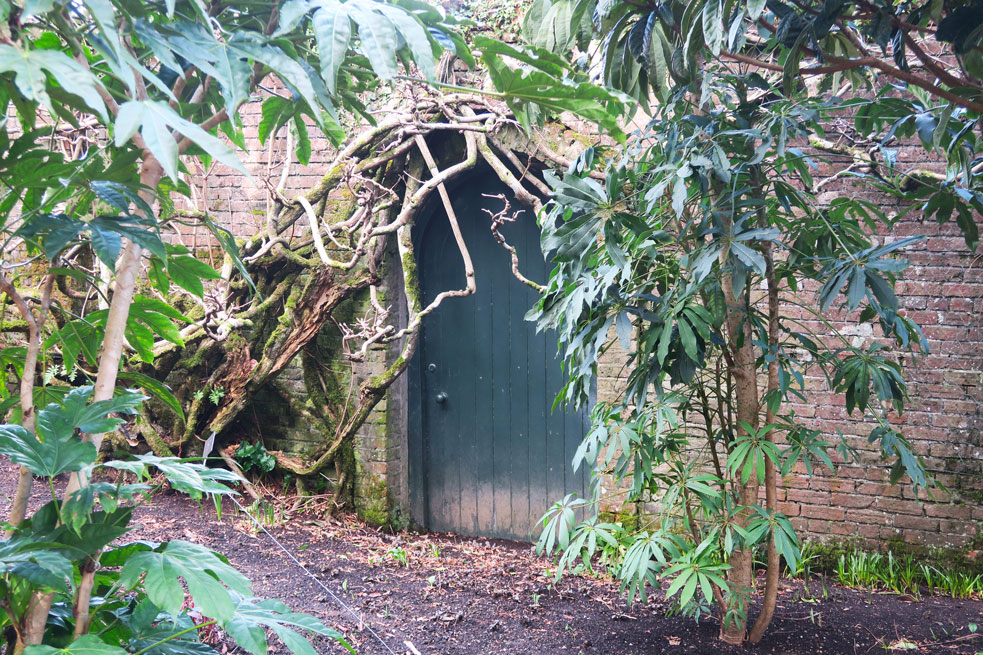 trelissick gardens national trust door