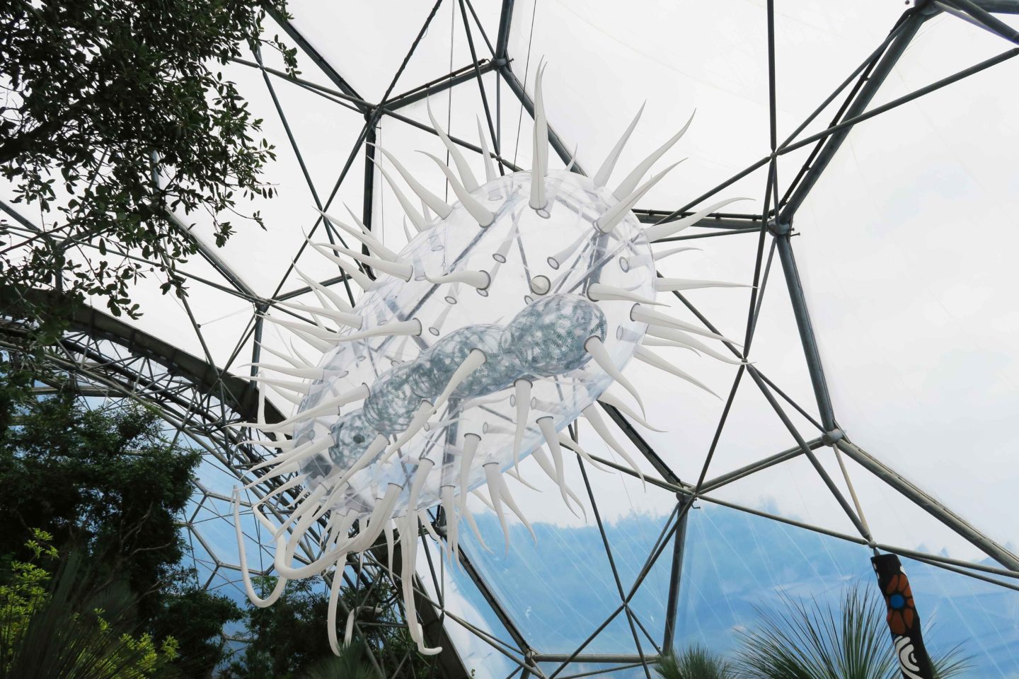 eden project giant microbe