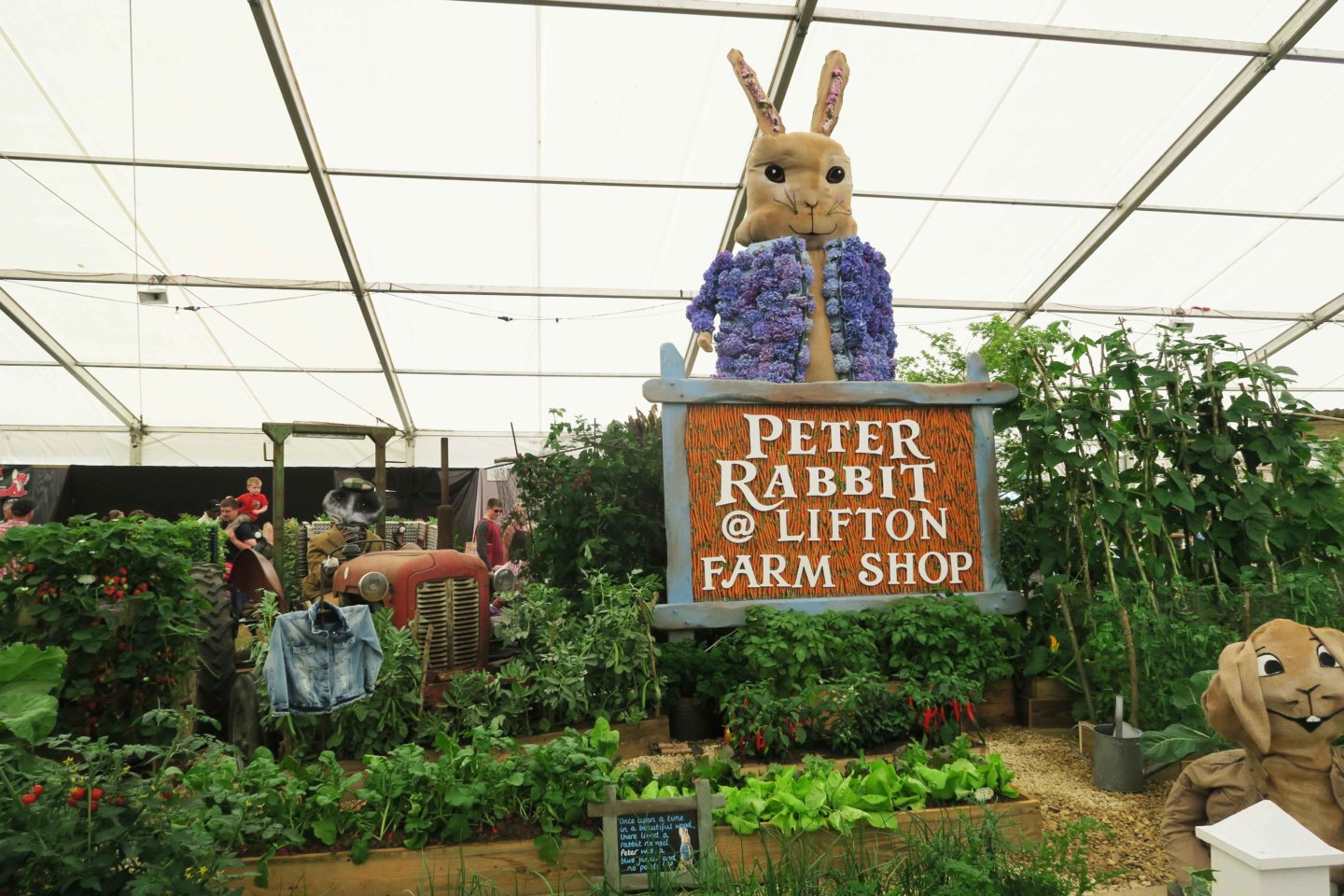peter rabbit flower display at the royal cornwall show