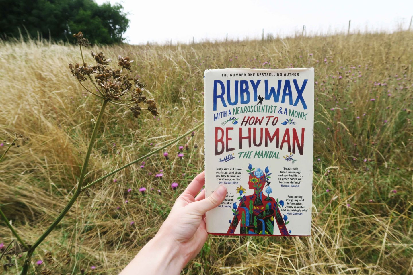 ruby wax how to be human top summer read