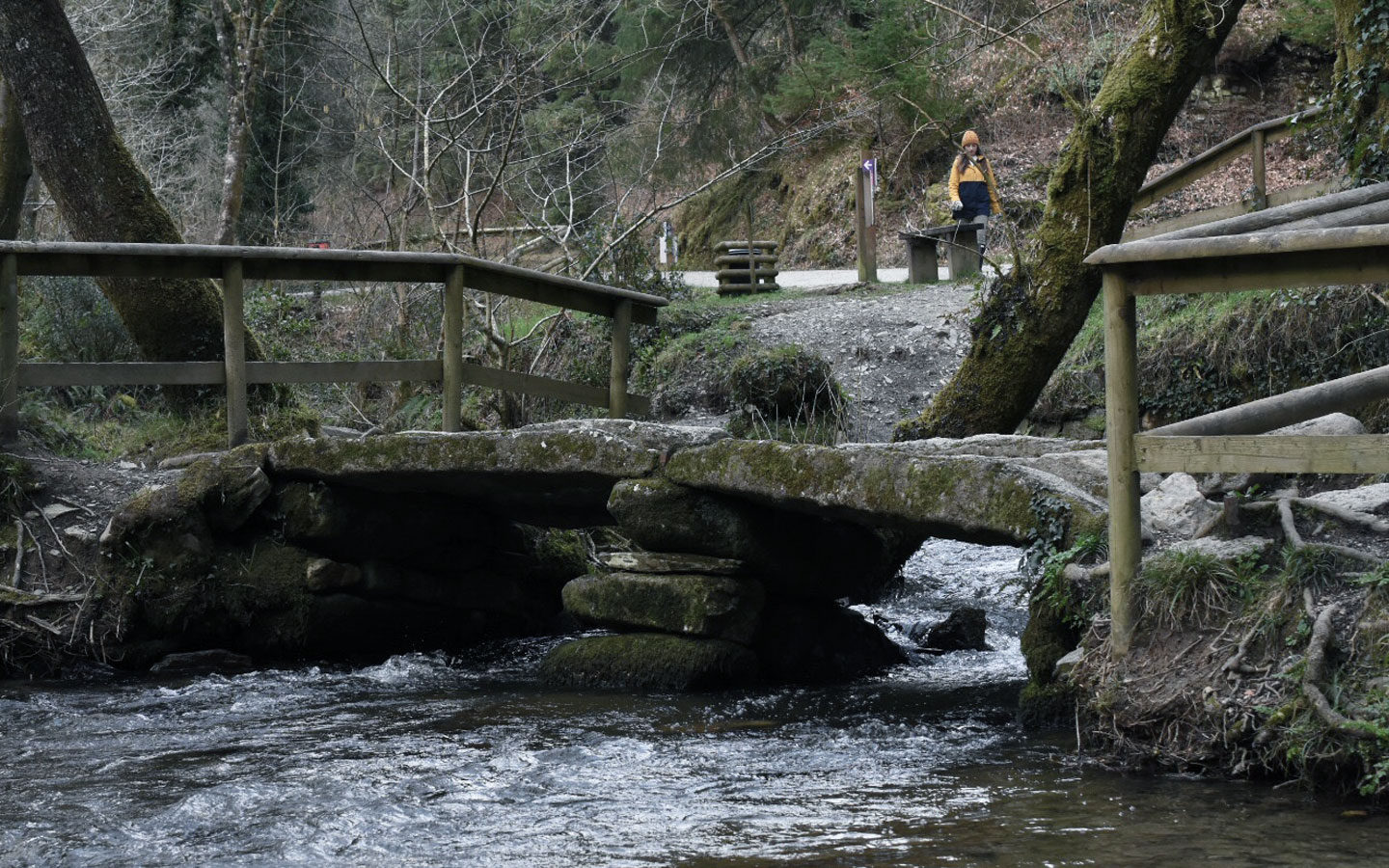 old stone bridge at cardinham woods in cornwall