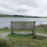 bench overlooking siblyback in cornwall