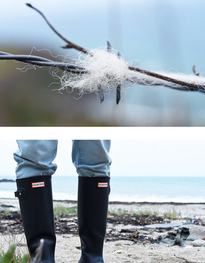 sheep wool on barbed wire, hunter wellies on beach