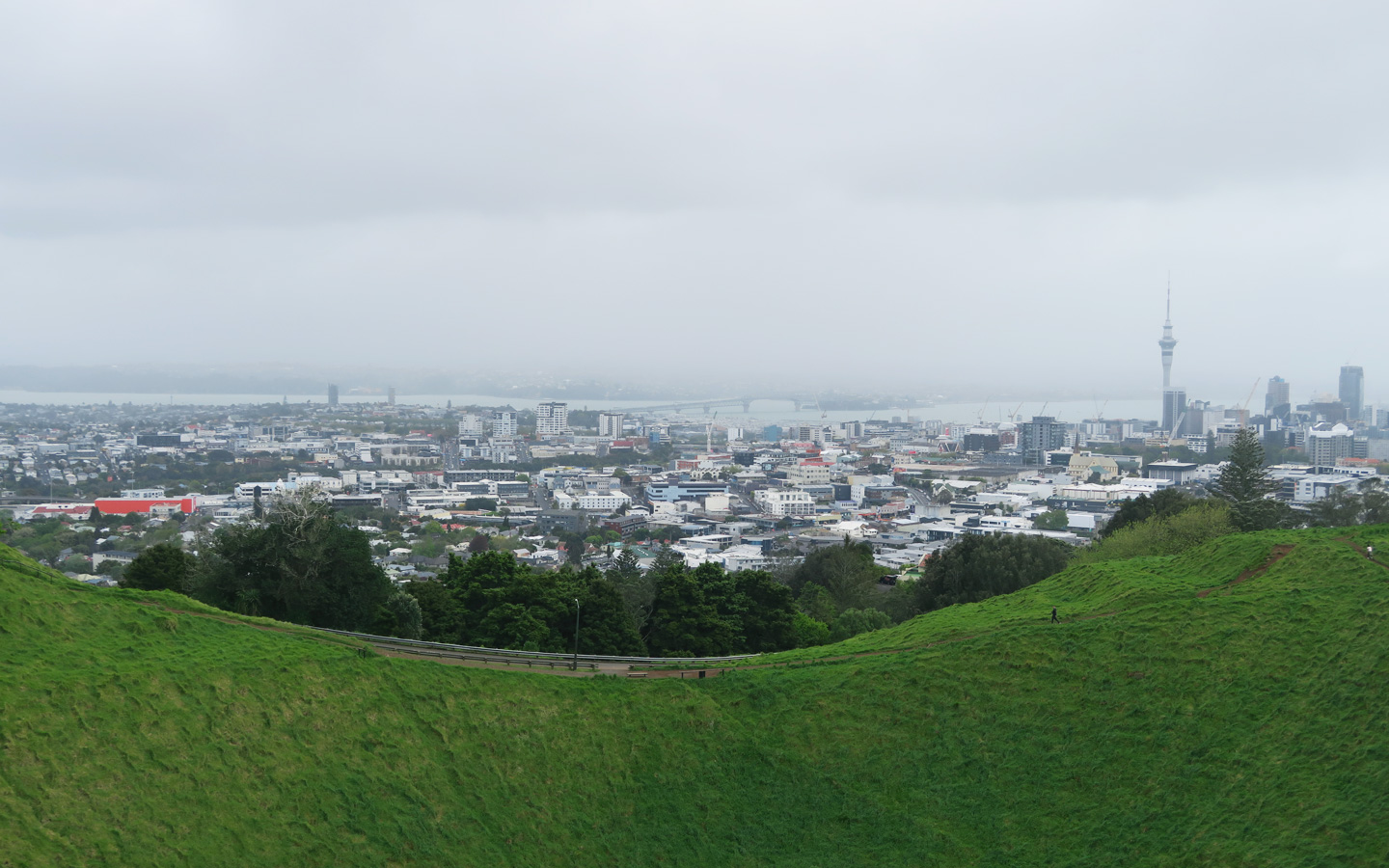 view of auckland city from mount eden in new zealand