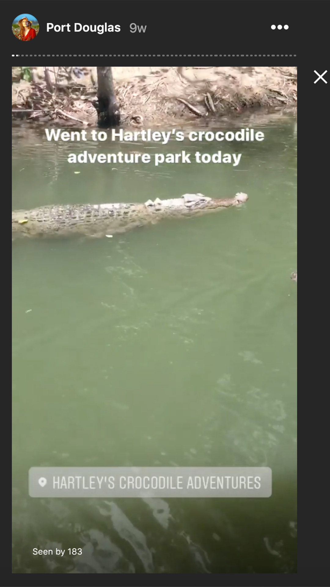 salt water crocodile at hartley's adventure park in port douglas in australia