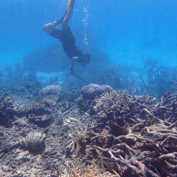man taking film on gopro in the great barrier reef in australia