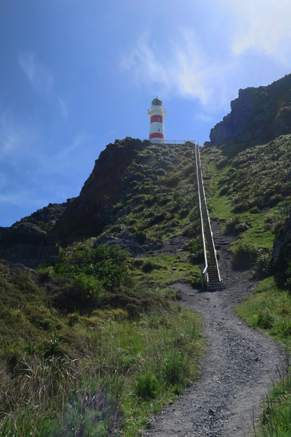 cape palliser lighthouse with 252 steps in cape palliser in new zealand