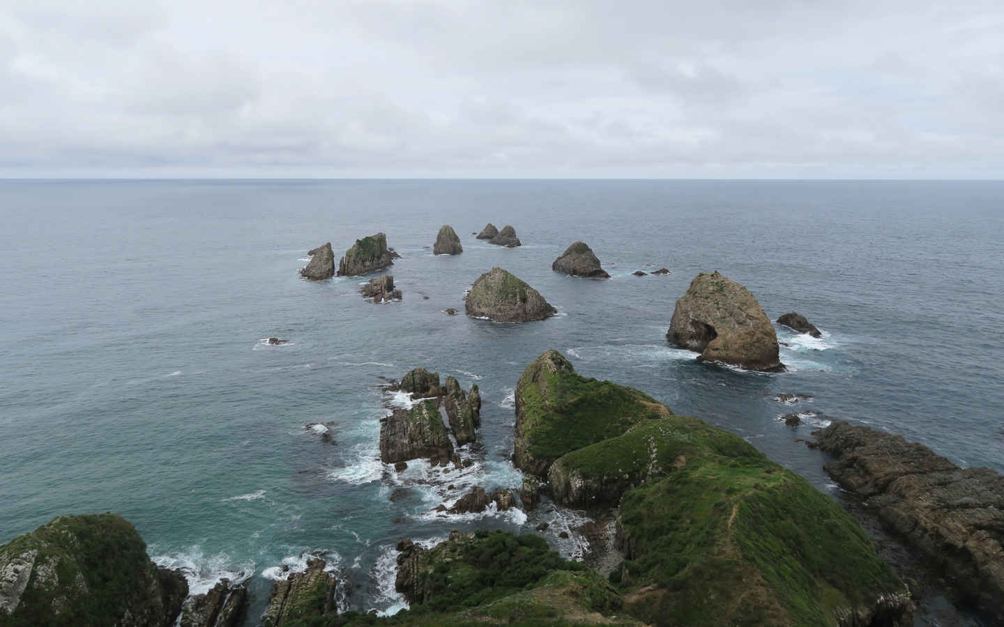 nugget point on the south island of new zealand