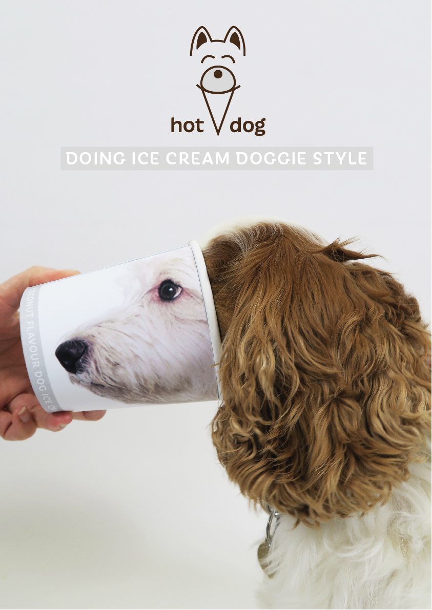 dog ice cream packaging by graphic designer melissa carne in cornwall