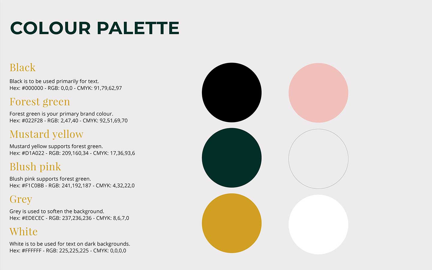 brand guideline booklet colour palette designed by graphic designer melissa carne