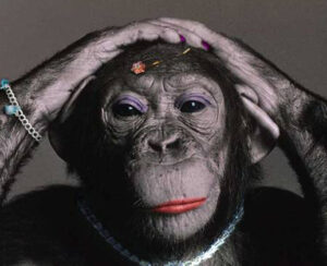 gorilla in lipstick branding analogy