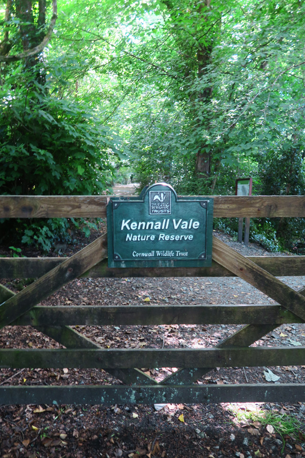 kennall vale nature reserve owned by the cornwall wildlife trust entrance