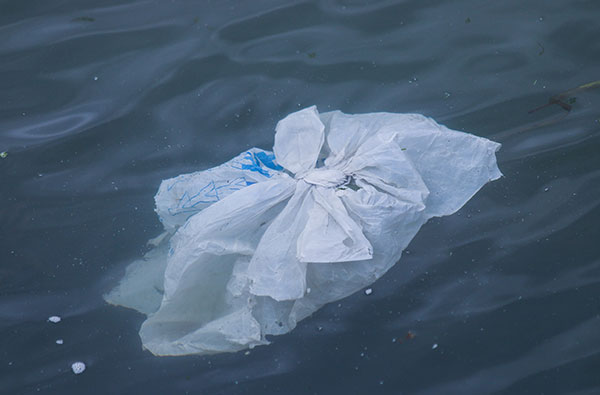 plastic bag in ocean