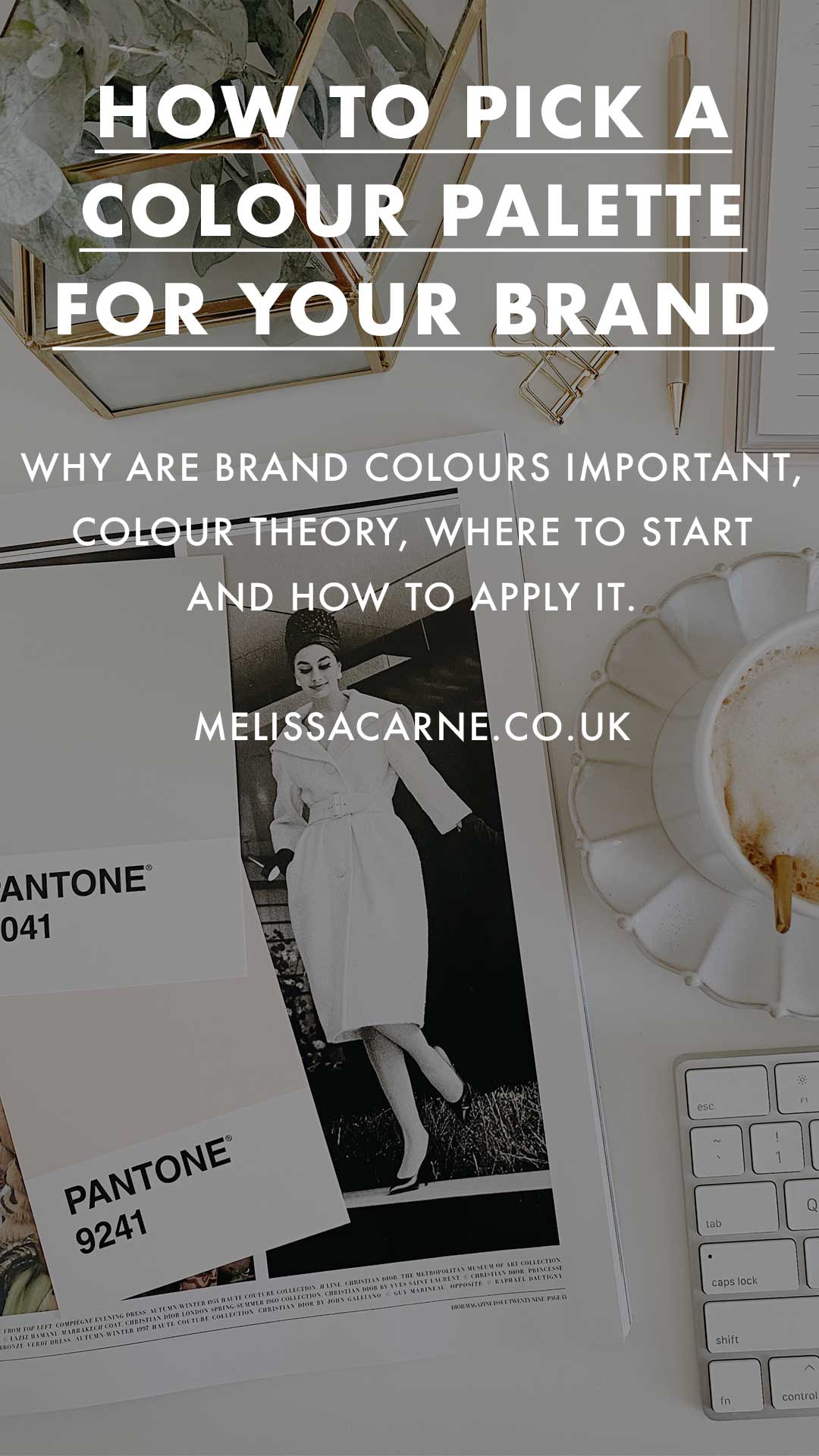 colour palette for branding a small business